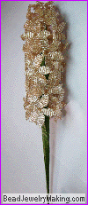 champagne hyacinth long