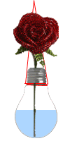 light bulb hanging vase