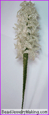 white hyacinth long